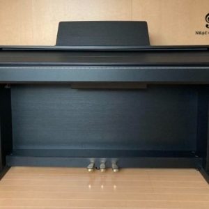 AP45BK vudiep3