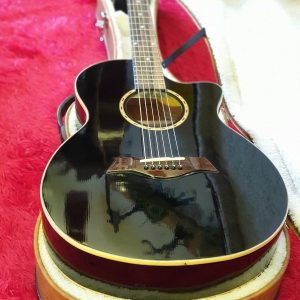 đàn guitar nhạc cụ vũ điệp