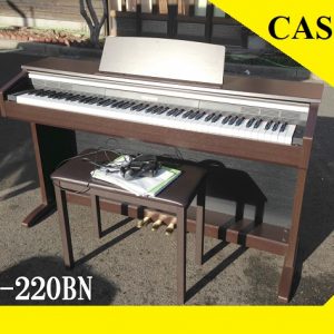 AP220 anh2