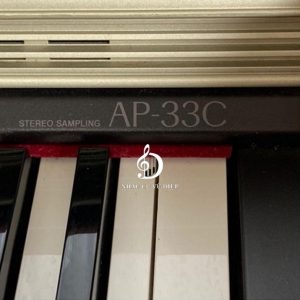 AP33C anh6