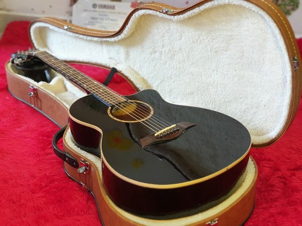 Đàn Guitar Acoustic D6 Giá Rẻ Dáng Đẹp Có Ty Được Săn Đón Nhất Hiện Nay