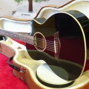 mua đàn guitar Acoustic D6
