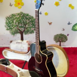 Đàn guitar Acoustic D6