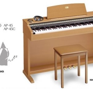 AP45C anh1