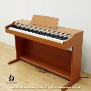 AP33C anh7