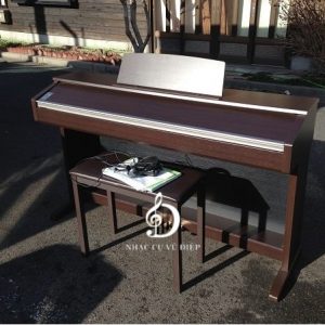 cửa hàng piano điện Celviano AP-220