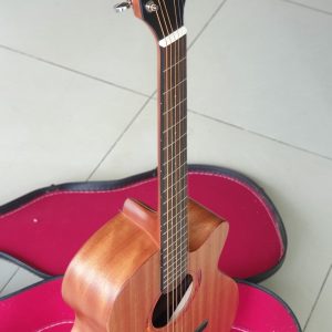 vu diep3