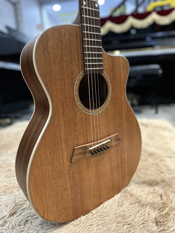 guitar F10-1