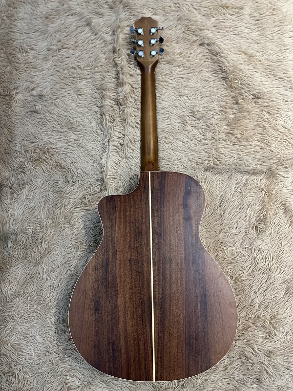 guitar F10-2