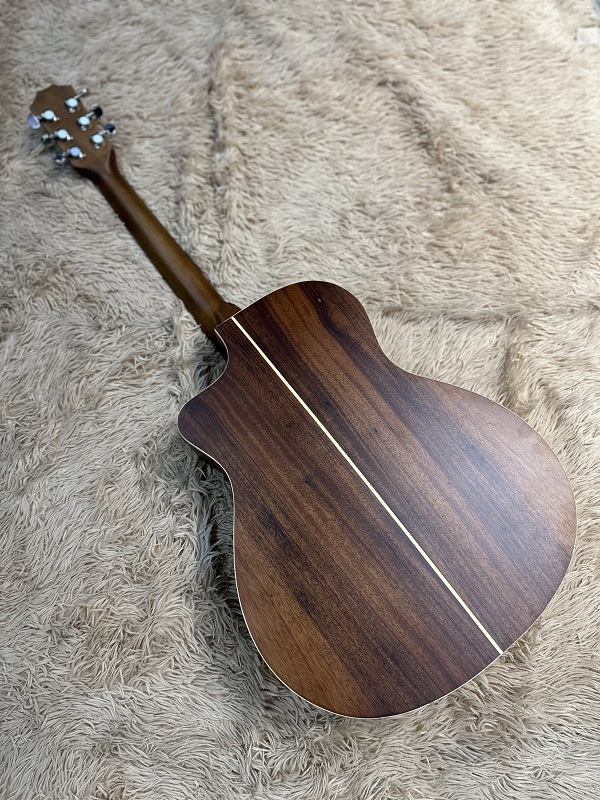 guitar F10-3