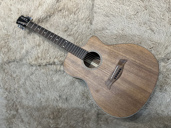 guitar F10-4