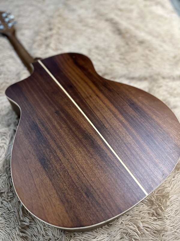 guitar F10-5