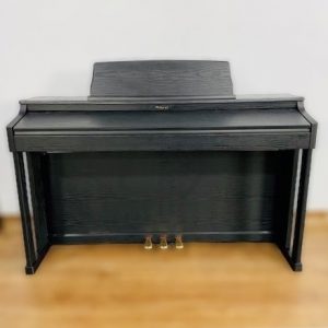 Roland Hp205-3