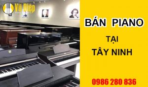 Bán piano chất lượng, uy tín tại Tây Ninh