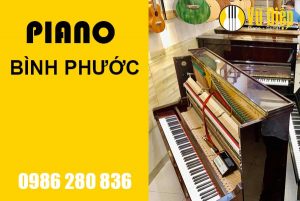 Địa chỉ bán piano uy tín tại Bình Phước