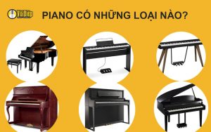 Piano có những loại nào